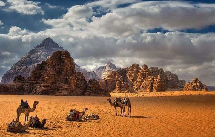 Wadi Rum Bedouin House Bagian luar foto